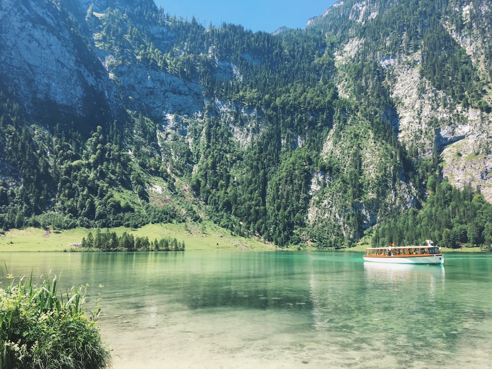 white boat on body of water