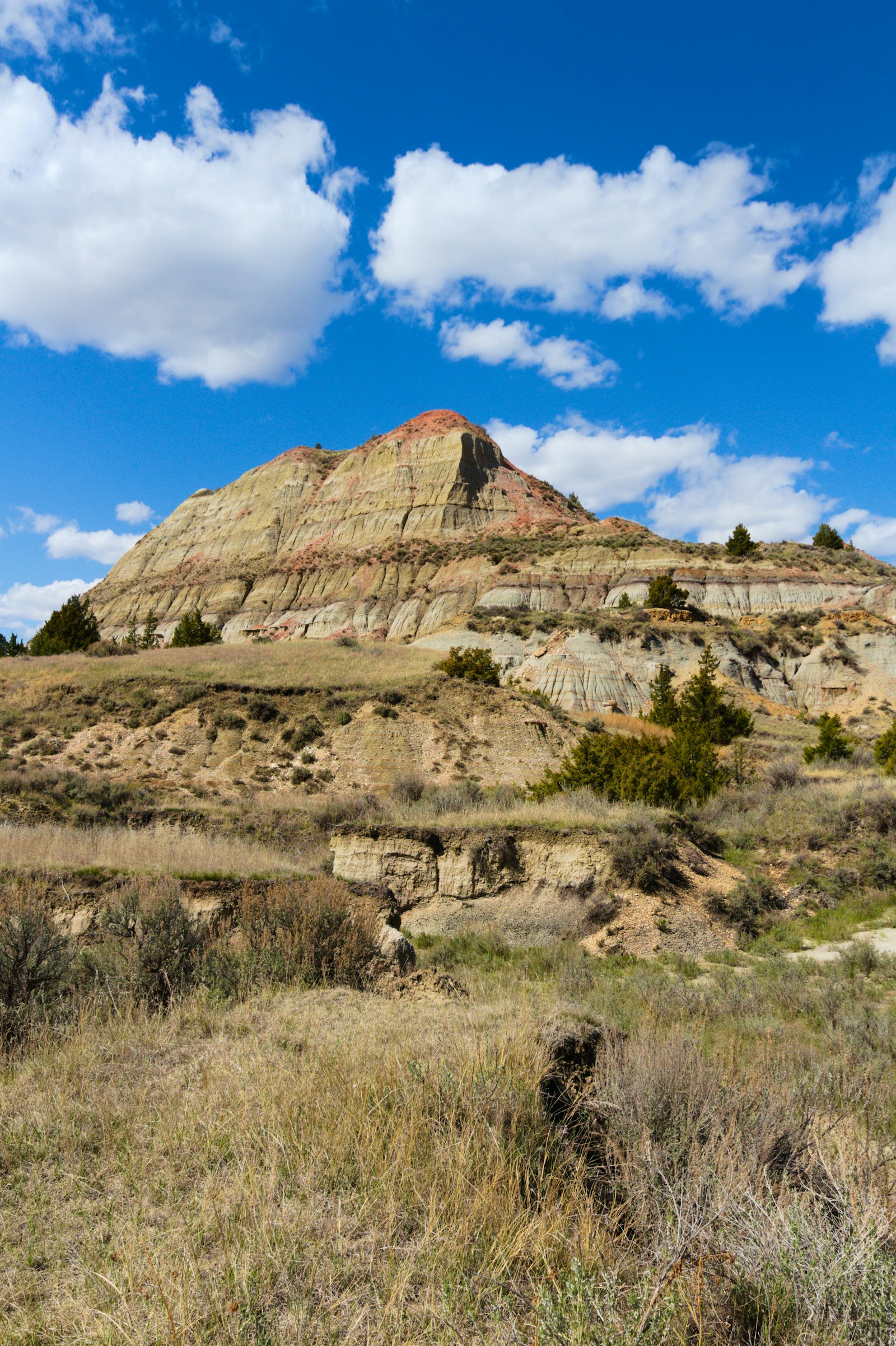 A striped badlands butte with a red-capped summit rising above grassy slopes and junipers under a blue sky