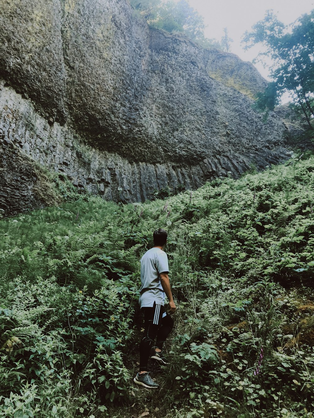 man wearing gray shirt standing beside green leaf plants and rocky mountain