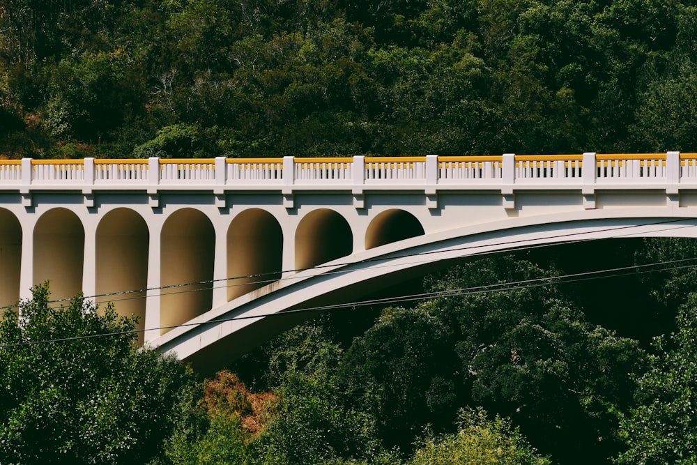 white concrete bridge