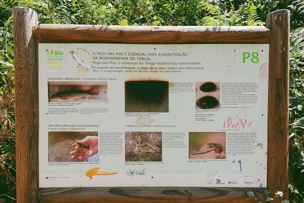 A wooden signboard in a natural setting contains information about biodiversity conservation. The sign features text in both Portuguese and English, accompanied by images of various reptiles and other animals. The background shows lush green foliage, indicating a forest or a nature reserve environment.