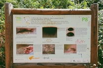 A wooden signboard in a natural setting contains information about biodiversity conservation. The sign features text in both Portuguese and English, accompanied by images of various reptiles and other animals. The background shows lush green foliage, indicating a forest or a nature reserve environment.