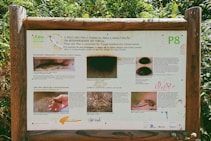 A wooden signboard in a natural setting contains information about biodiversity conservation. The sign features text in both Portuguese and English, accompanied by images of various reptiles and other animals. The background shows lush green foliage, indicating a forest or a nature reserve environment.