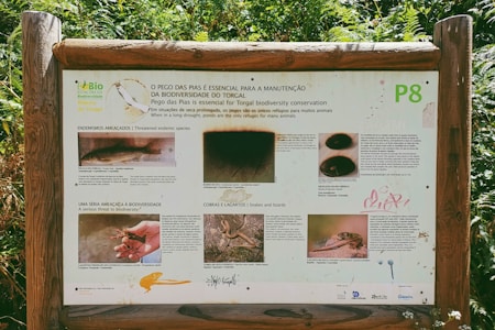 A wooden signboard in a natural setting contains information about biodiversity conservation. The sign features text in both Portuguese and English, accompanied by images of various reptiles and other animals. The background shows lush green foliage, indicating a forest or a nature reserve environment.