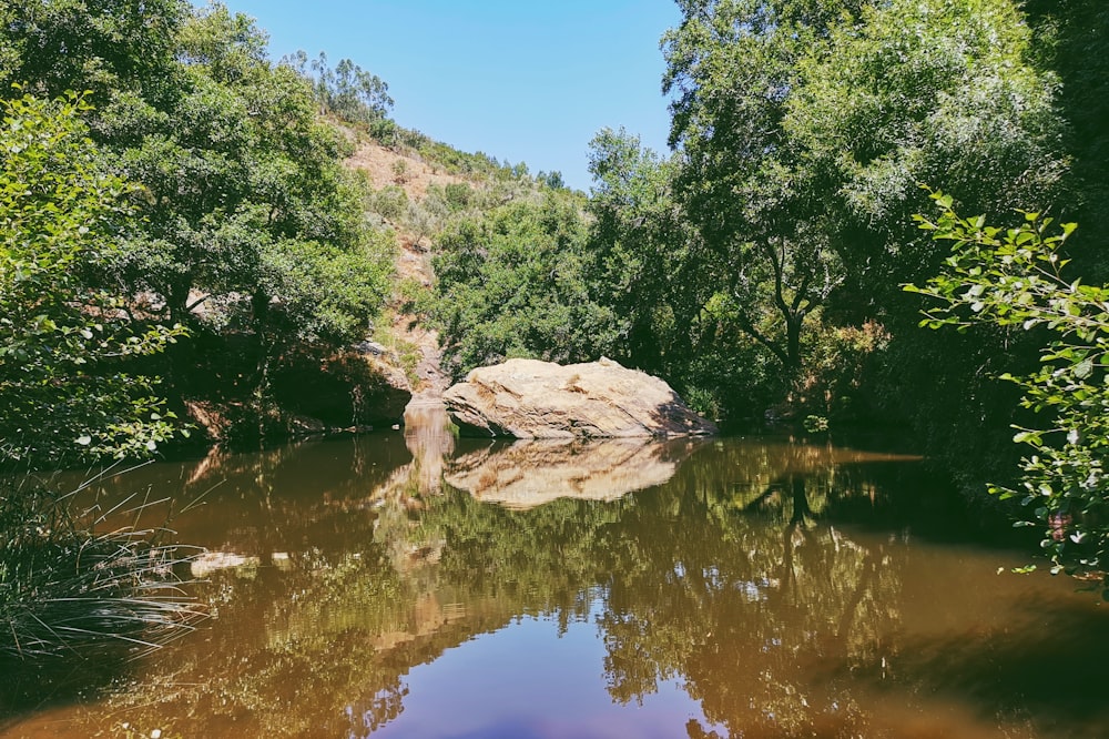 rocks near lake