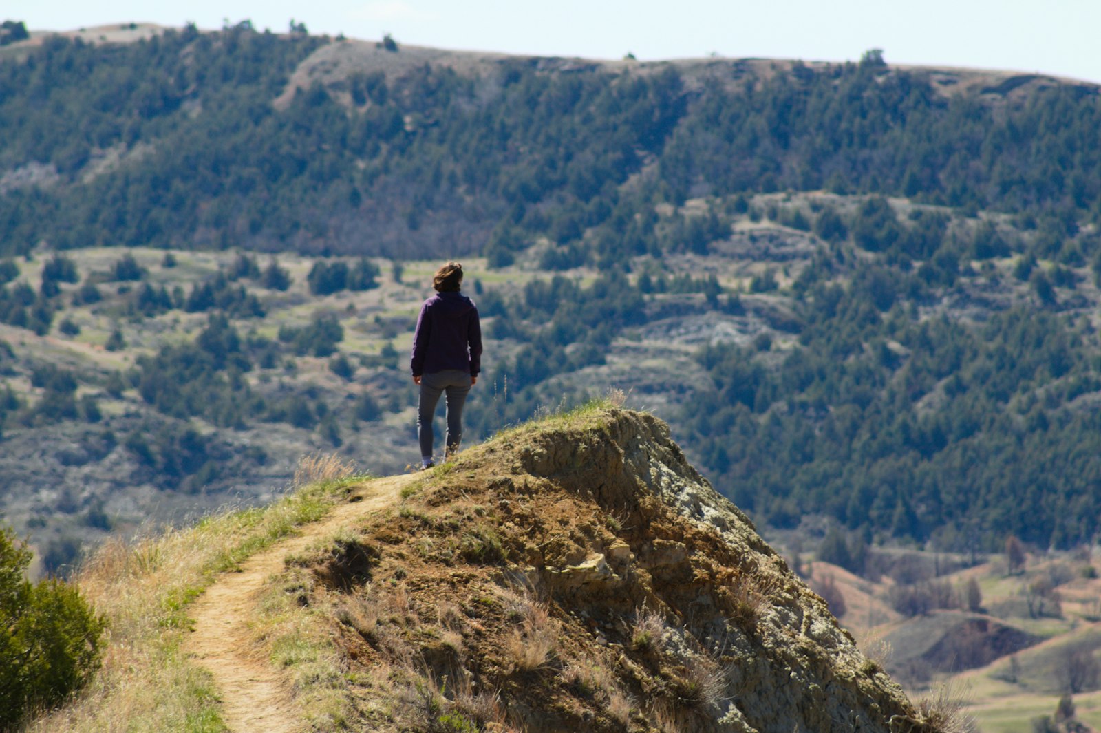 A hiker standing on a narrow grassy ridge trail overlooking layered badlands hills and green valleys