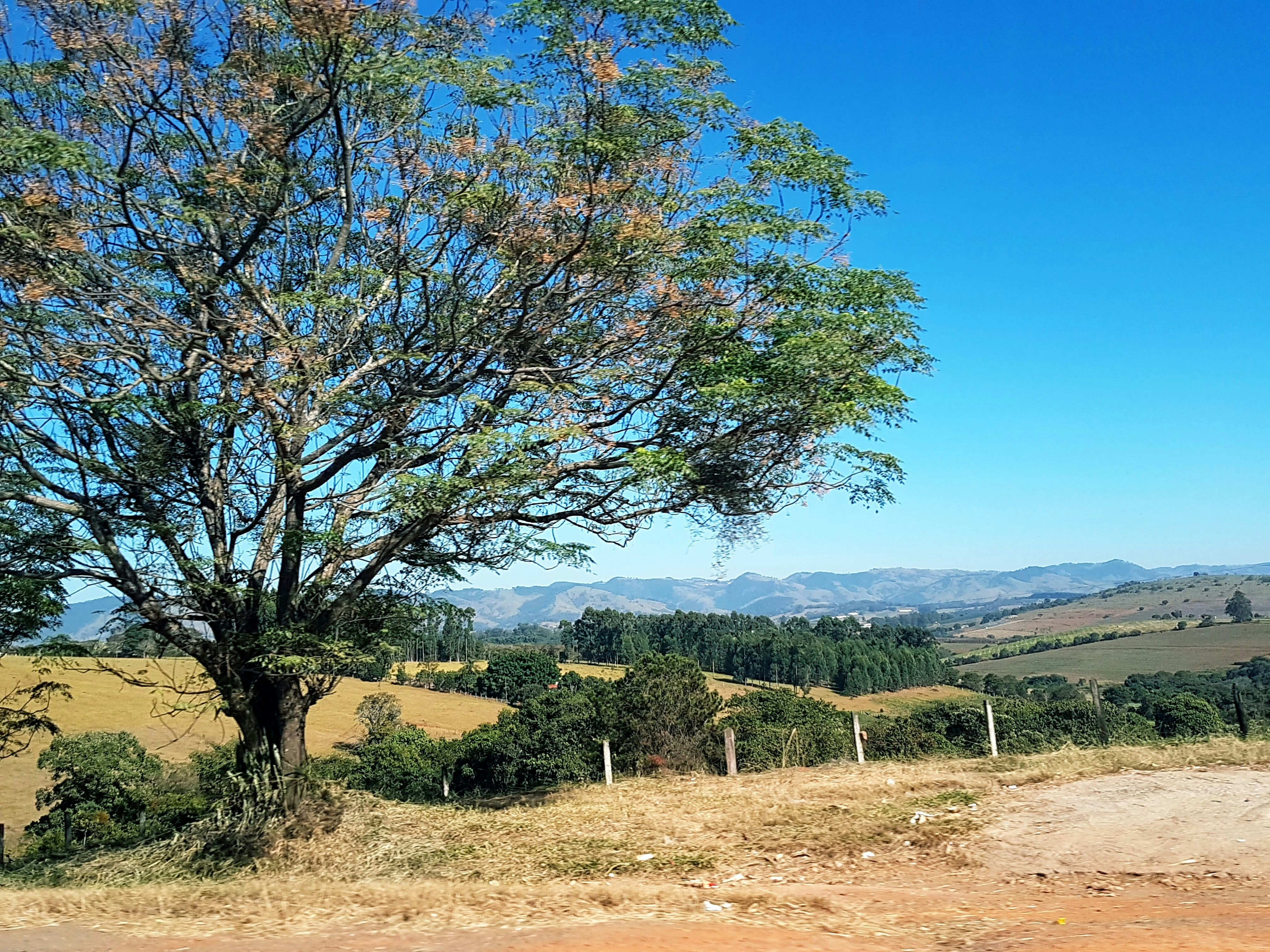 Photo by joshuagobin