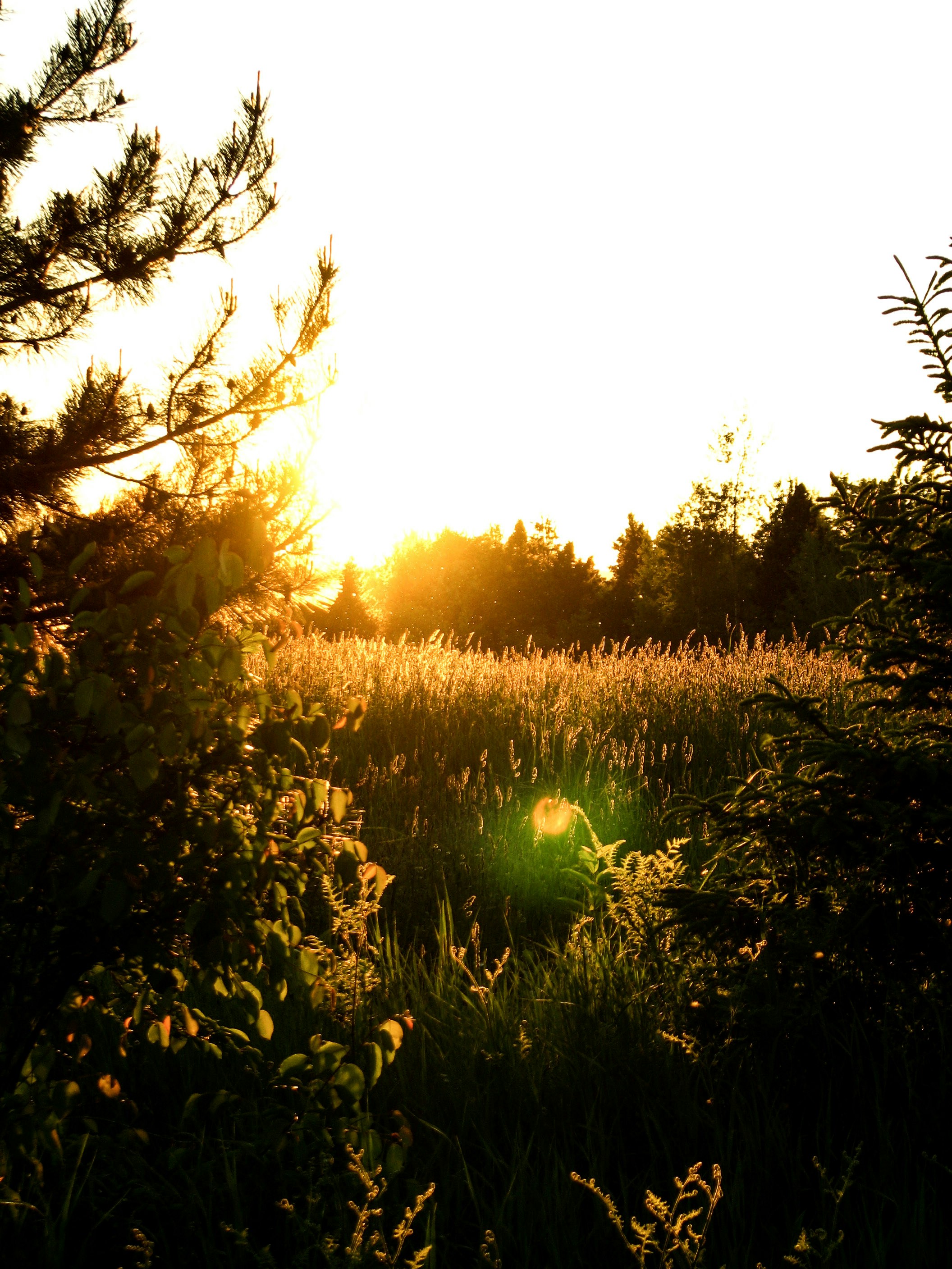 Photo by cody_mcclellan