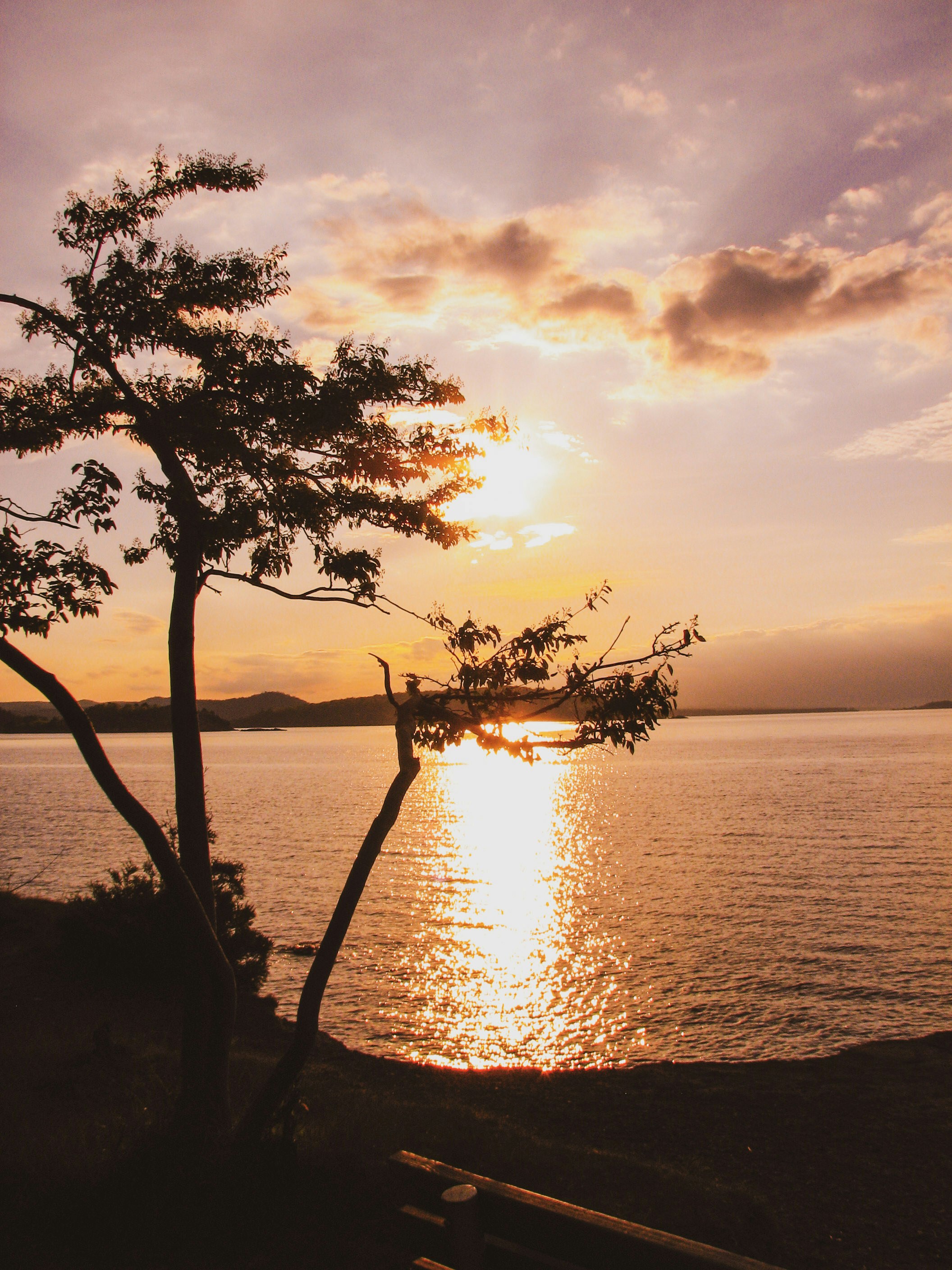 Photo by cody_mcclellan