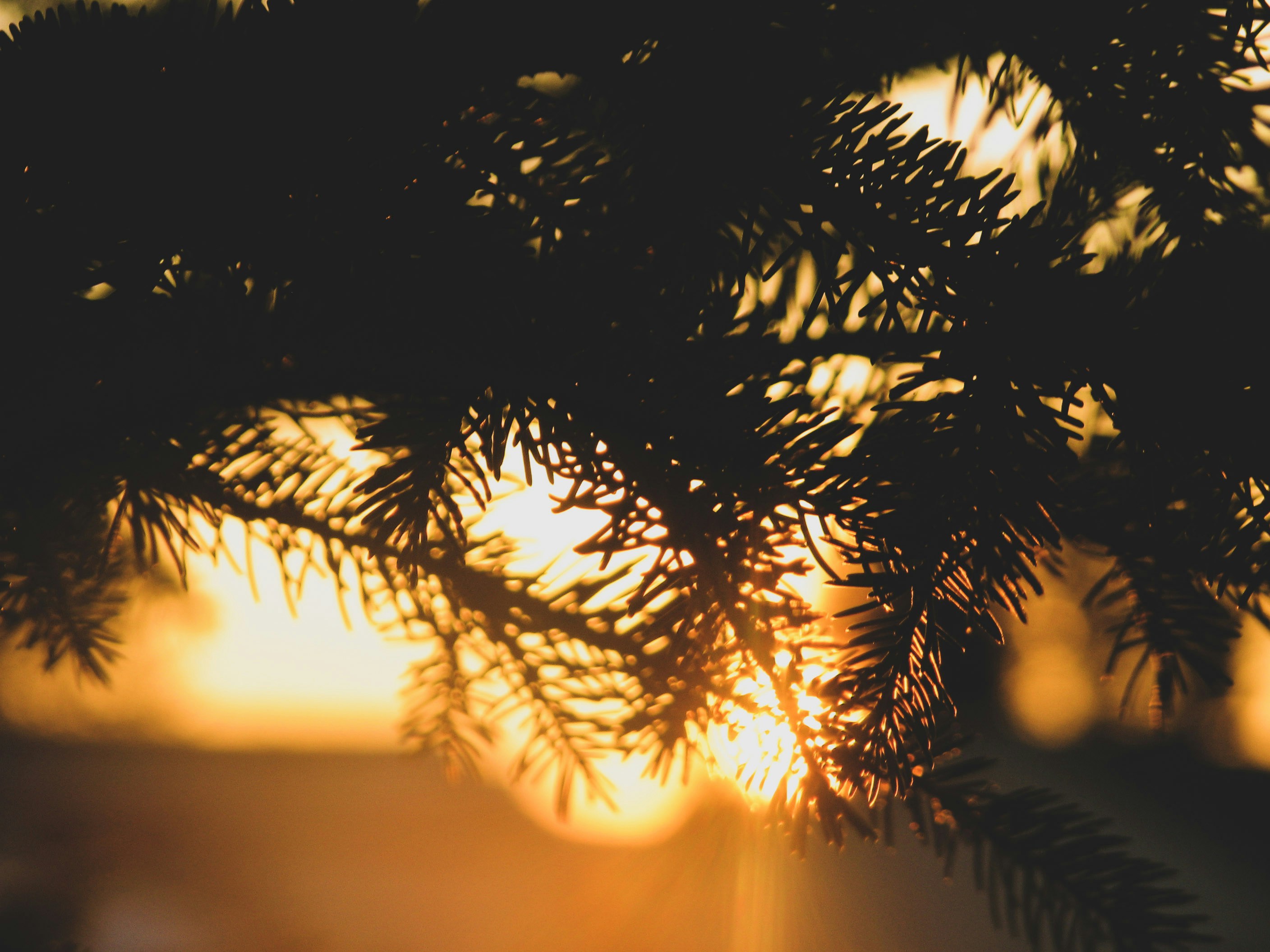 Photo by cody_mcclellan