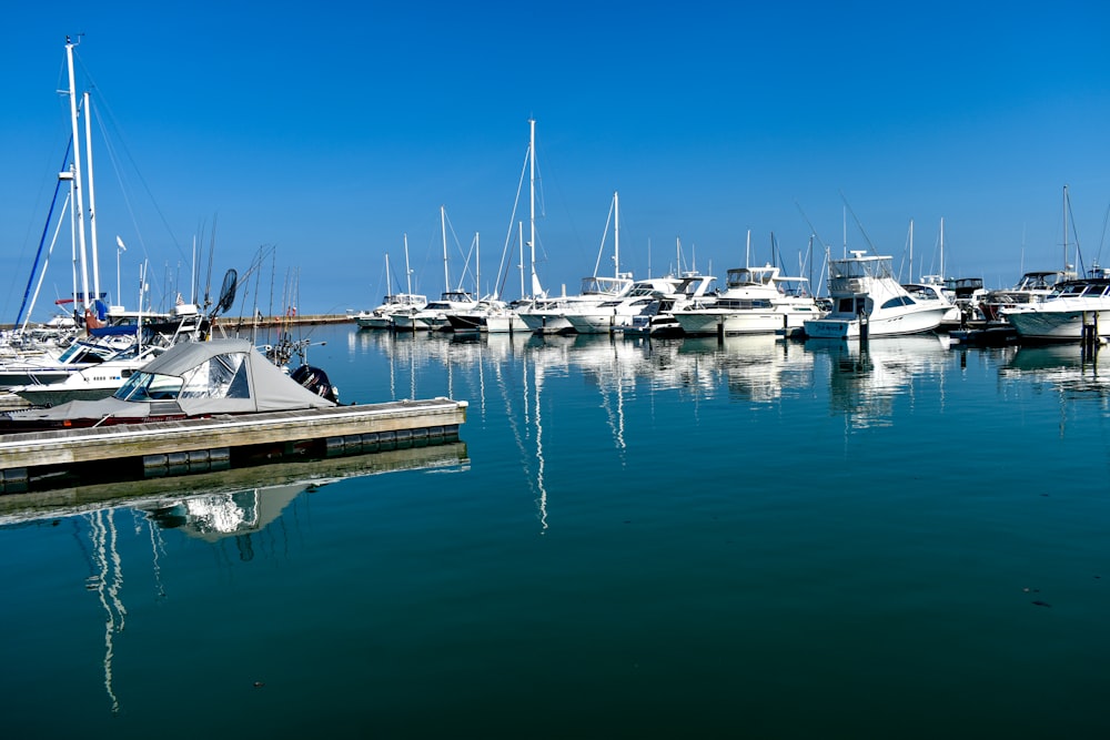 docked boats during day