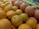A vibrant assortment of citrus fruits includes oranges and grapefruits, piled together with individual fruit stickers visible. The background shows additional piles of lemons, limes, and apples.