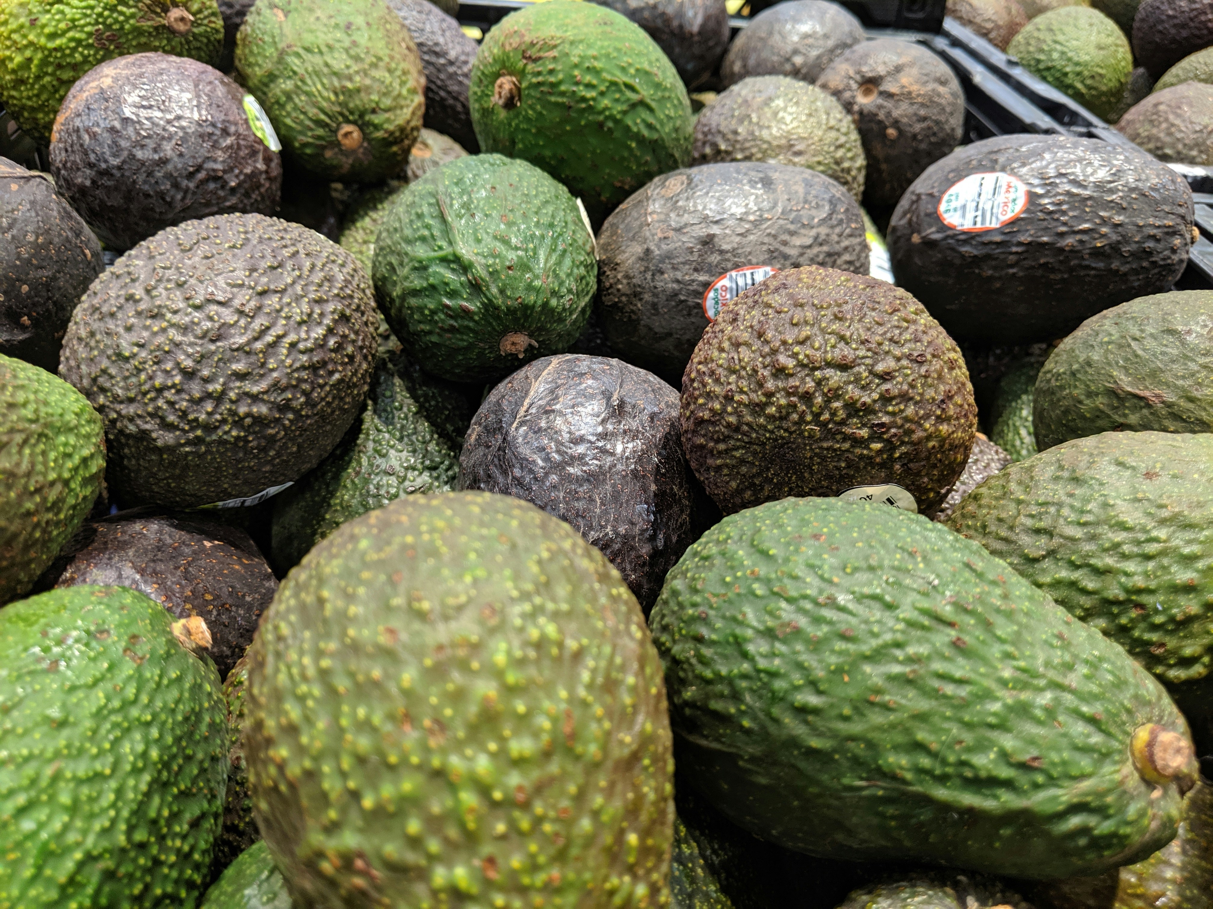 Aguacates frescos Rancho Michocán