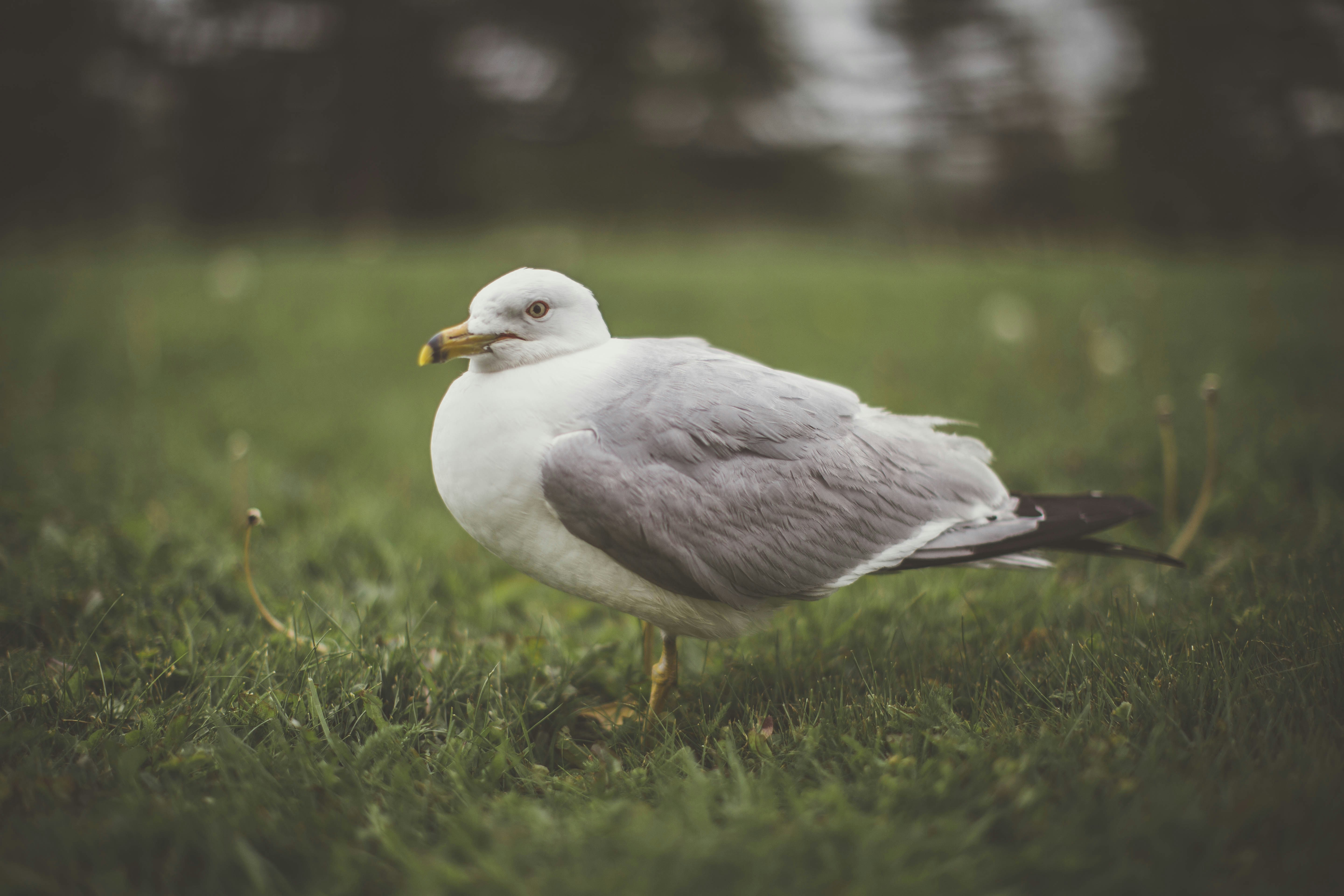 Photo by theshuttervision