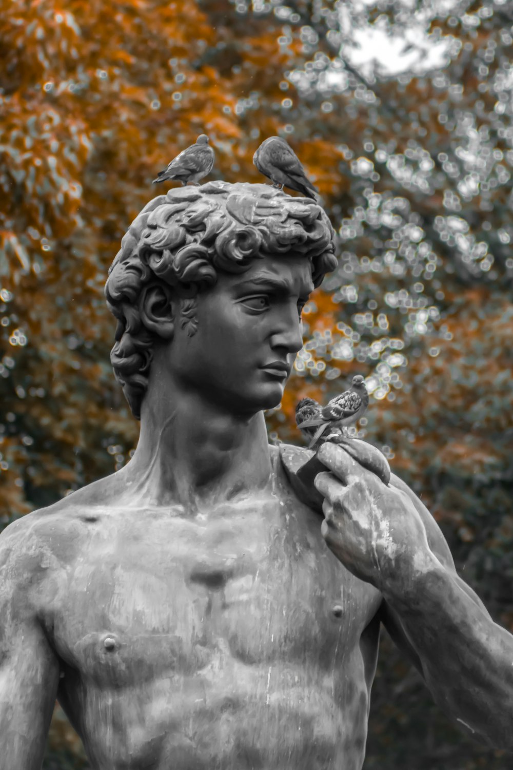 close-up photo of topless man statue