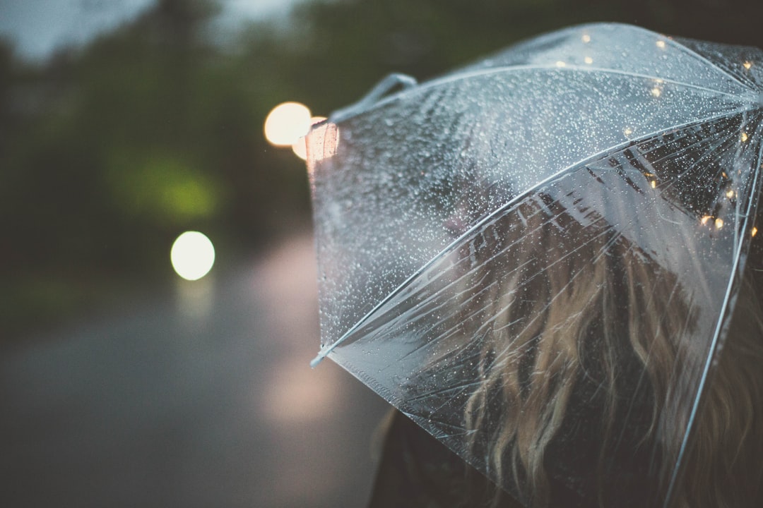 selective photo of woman standing near road and holding transparent umbrella