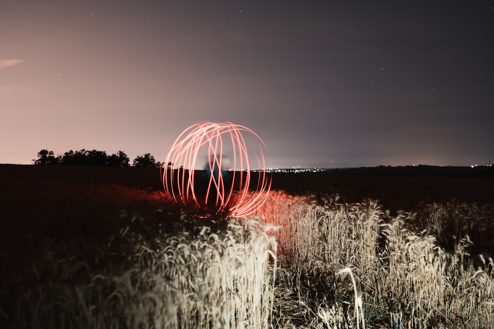 red light on a wheat field