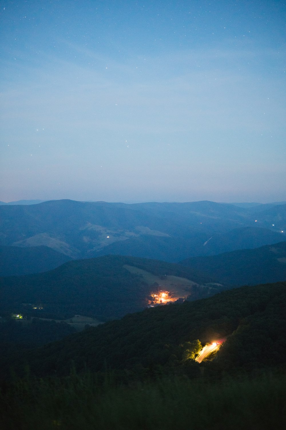 aerial photography of forest