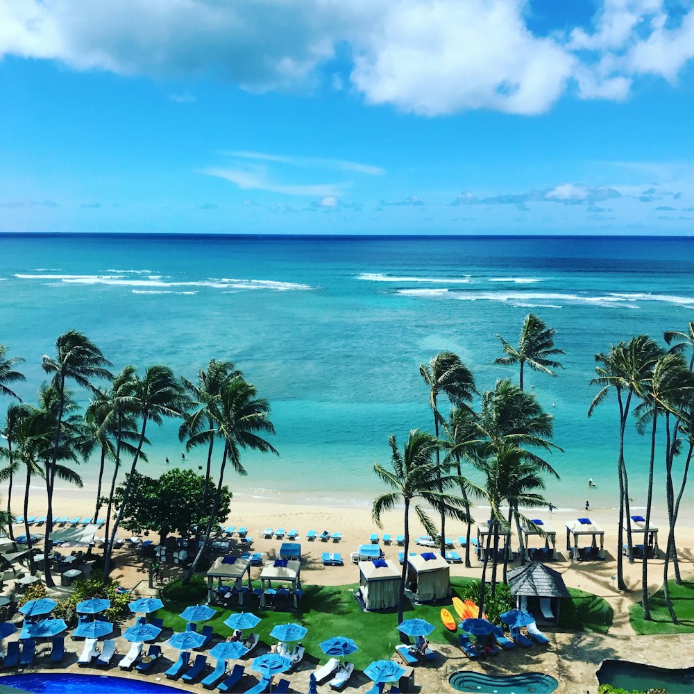 aerial view of ocean resort