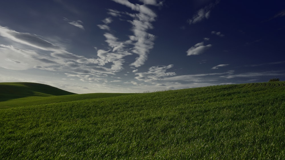 green field under white and blue clouds