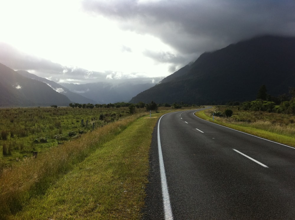 asphalt road between plants under cloudy sky