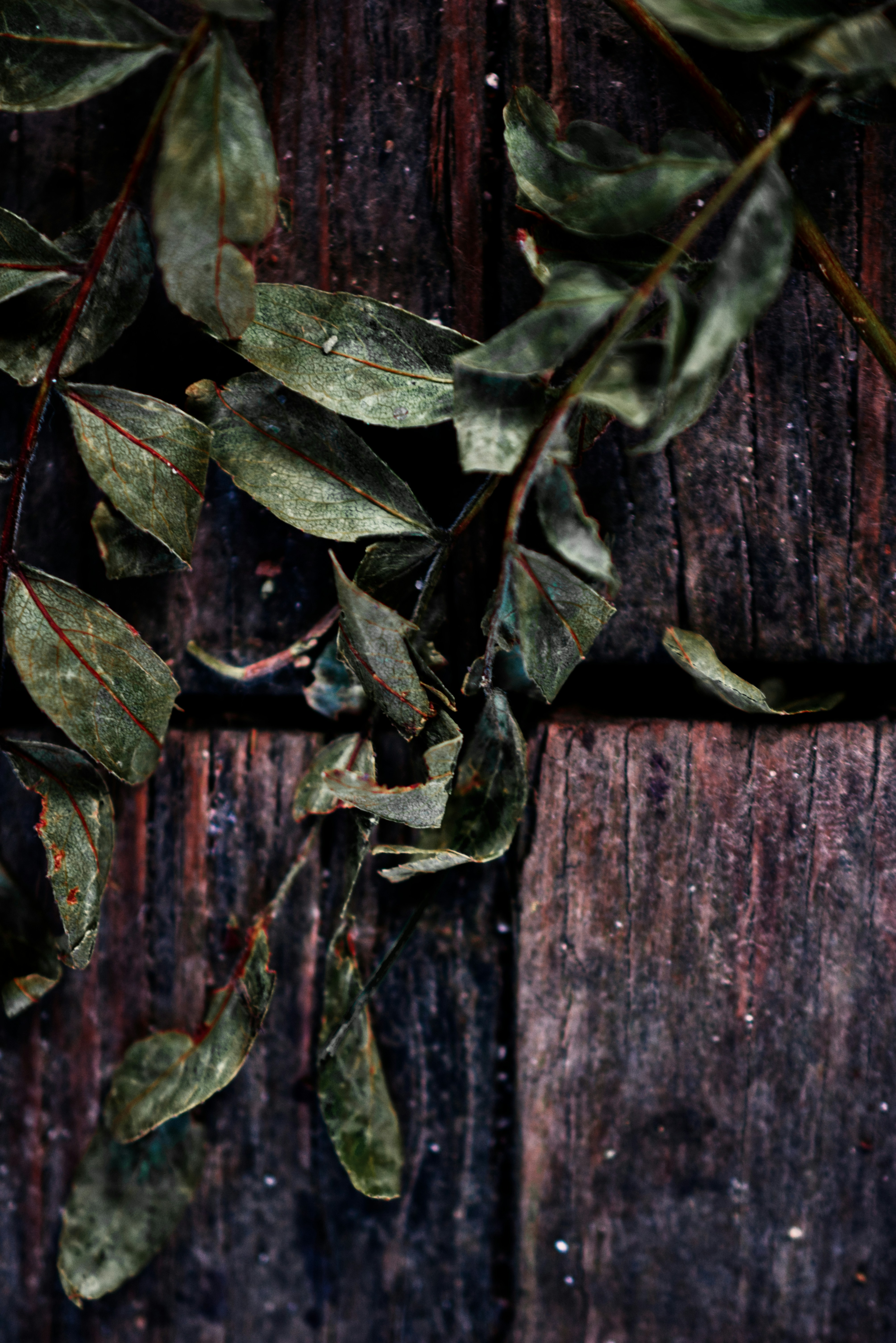 Photo by ldpeterson11