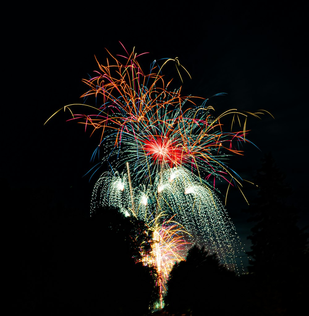 multicolored fireworks at night