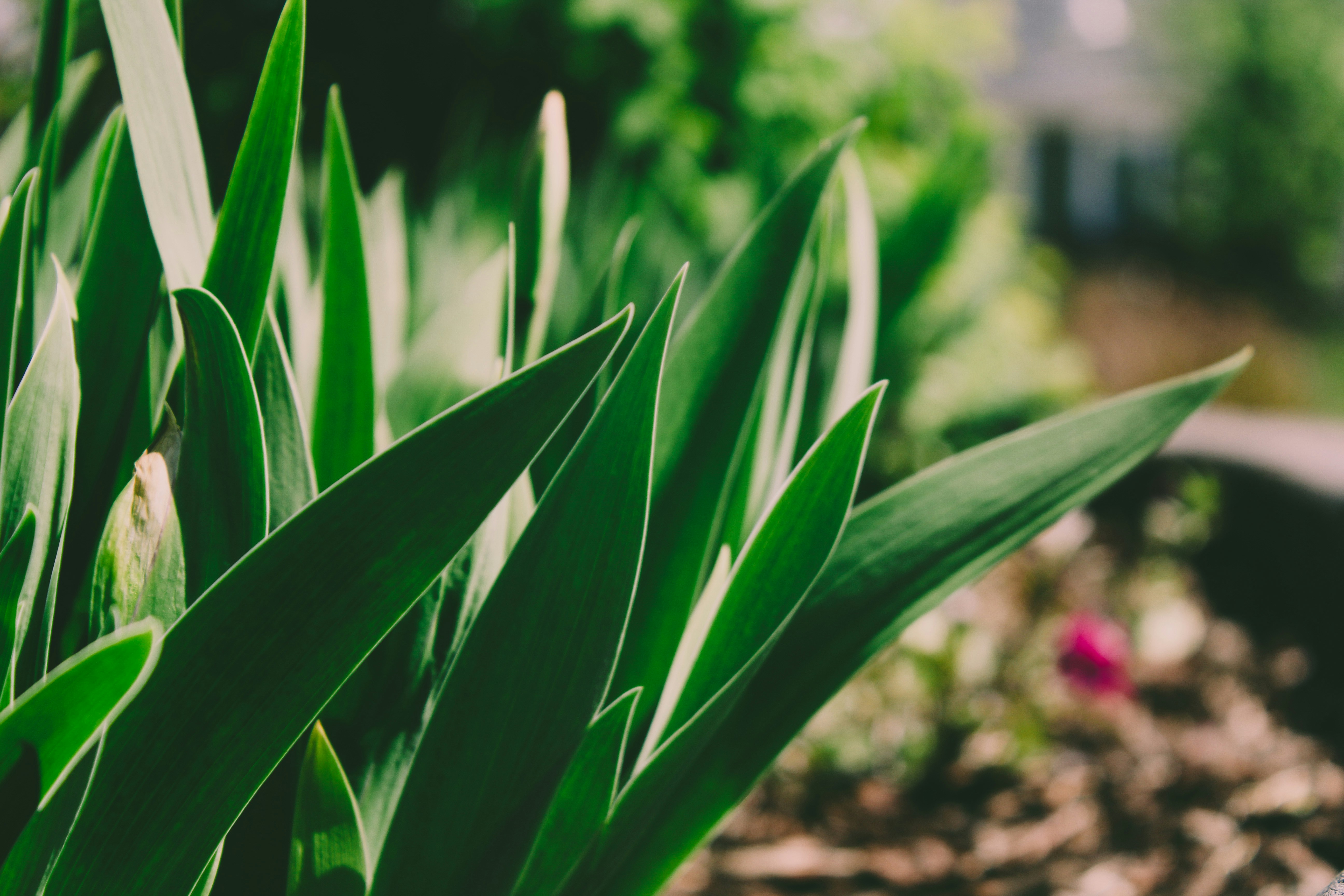 Photo by picturediaries