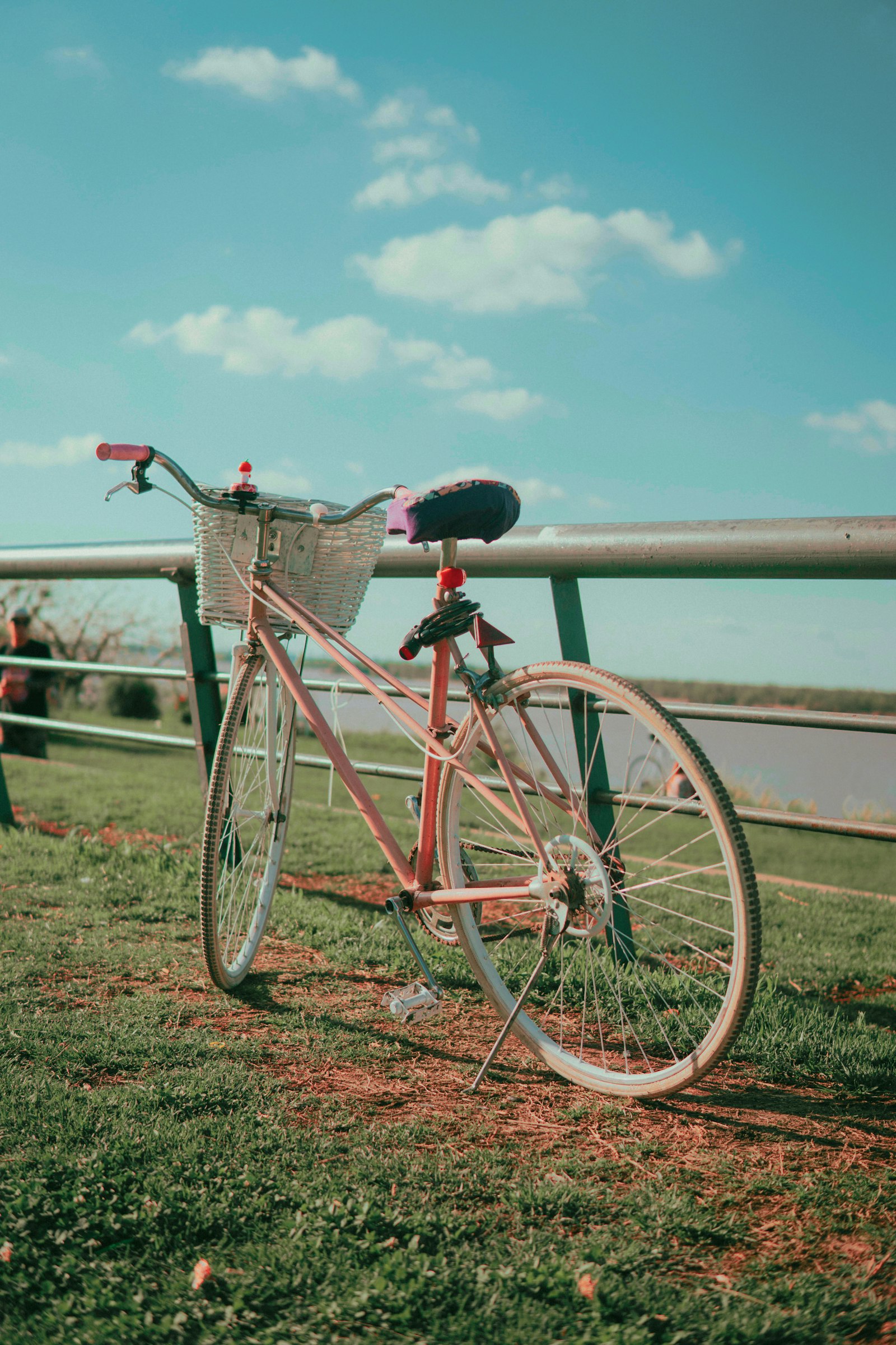 Sony a6000 + Sigma 30mm F1.4 DC DN | C sample photo. Pink and white bicycle photography