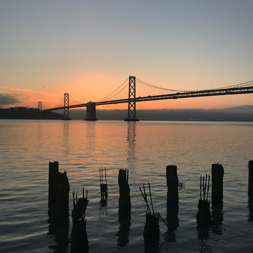 grey suspension bridge during golden hour