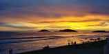 people at the beach during golden hour