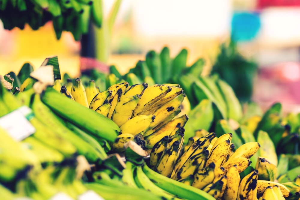 macro photography of yellow and green bananas