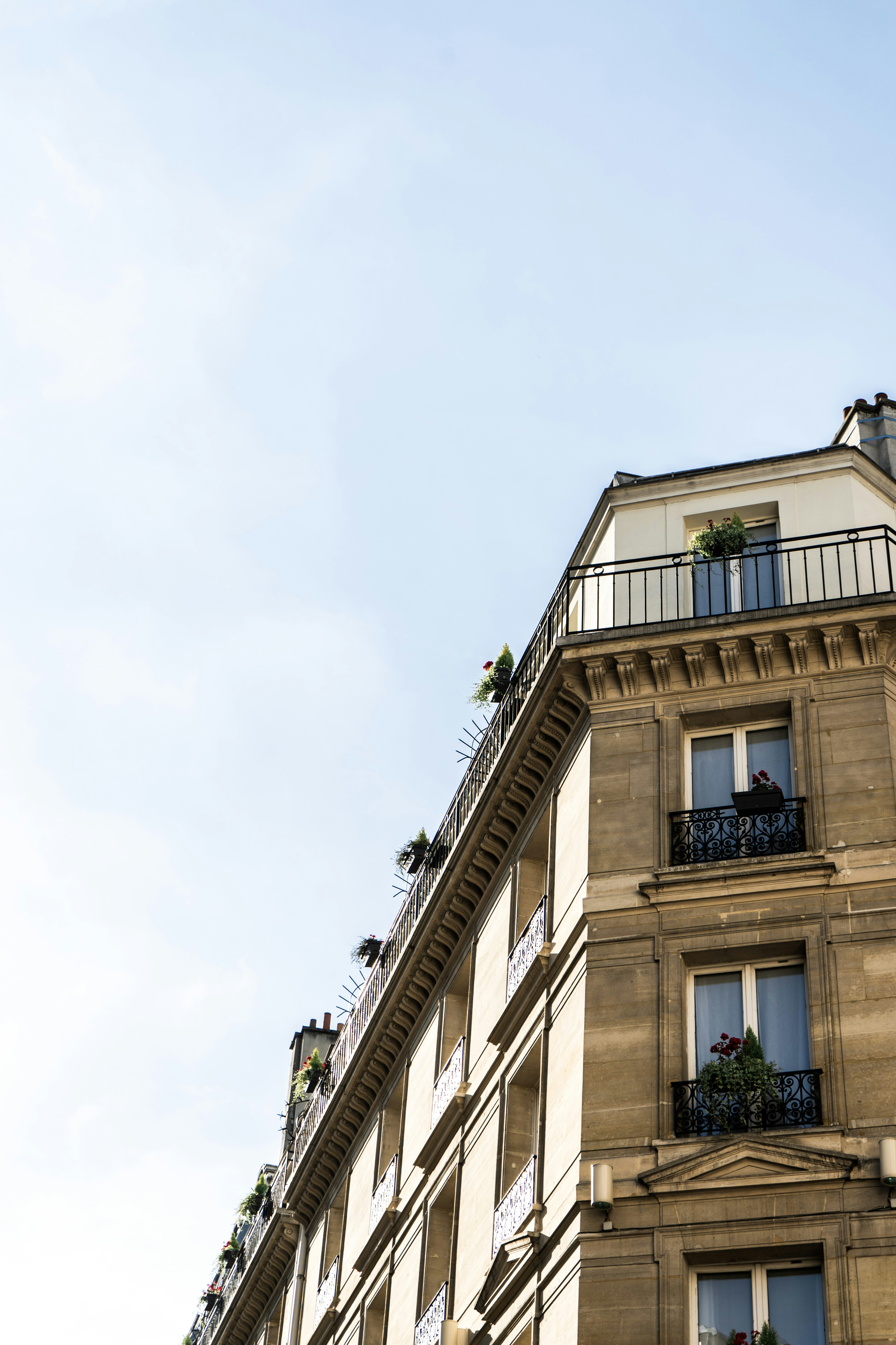 Photo by virussinside