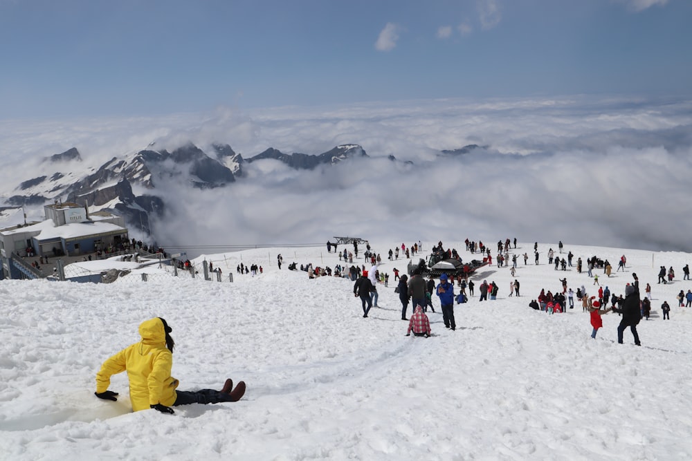 people on snow