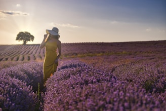 woman standing on pink flower field