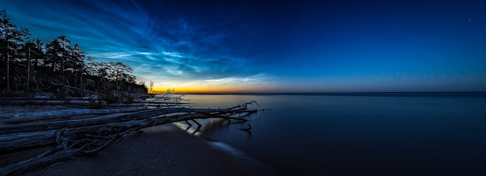 seashore during golden hour