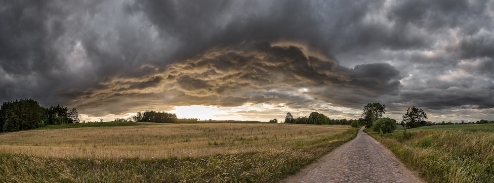 green open field near road under gray skies