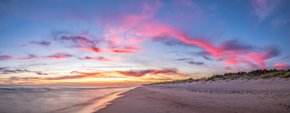 seashore during daytime