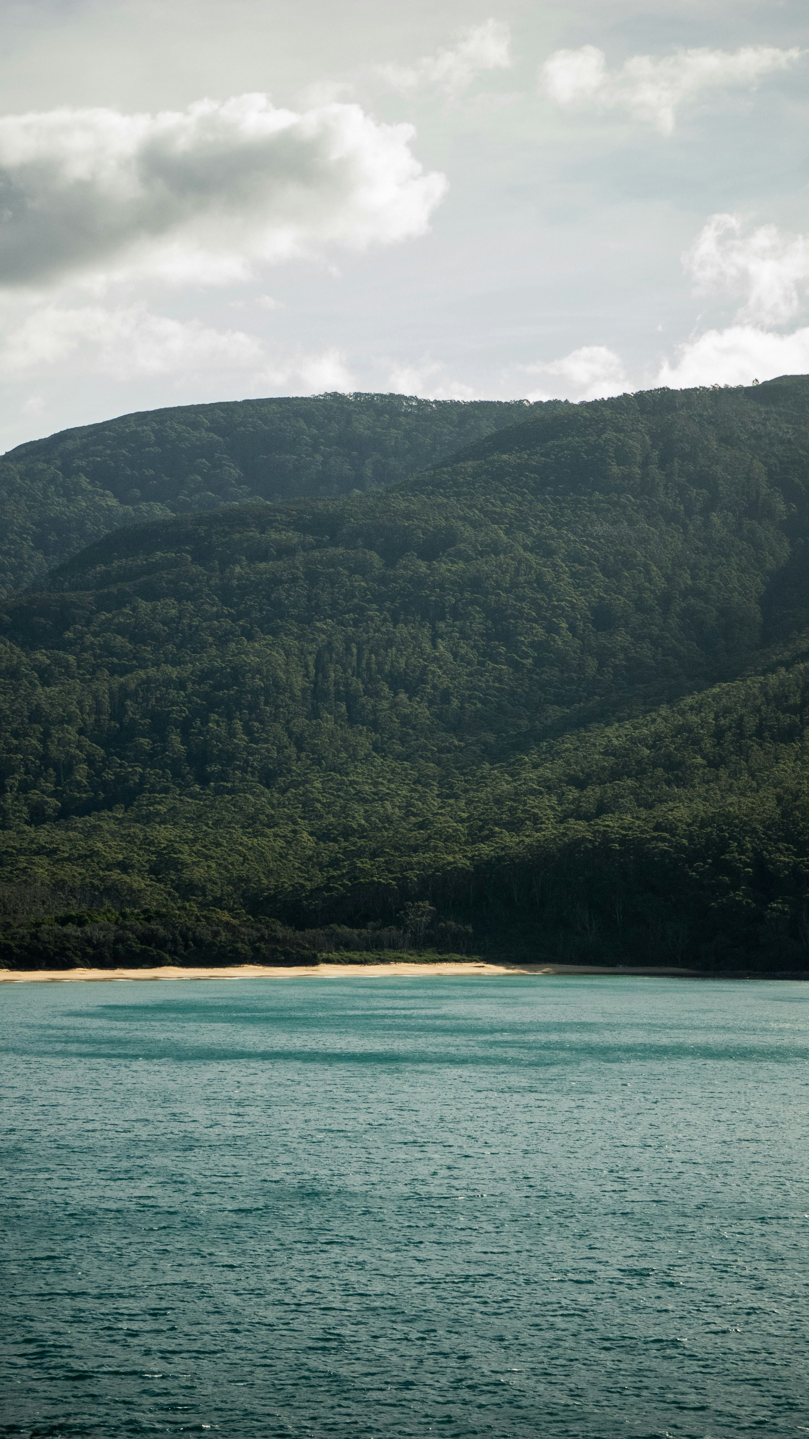 Photo by harrisonbroadbent