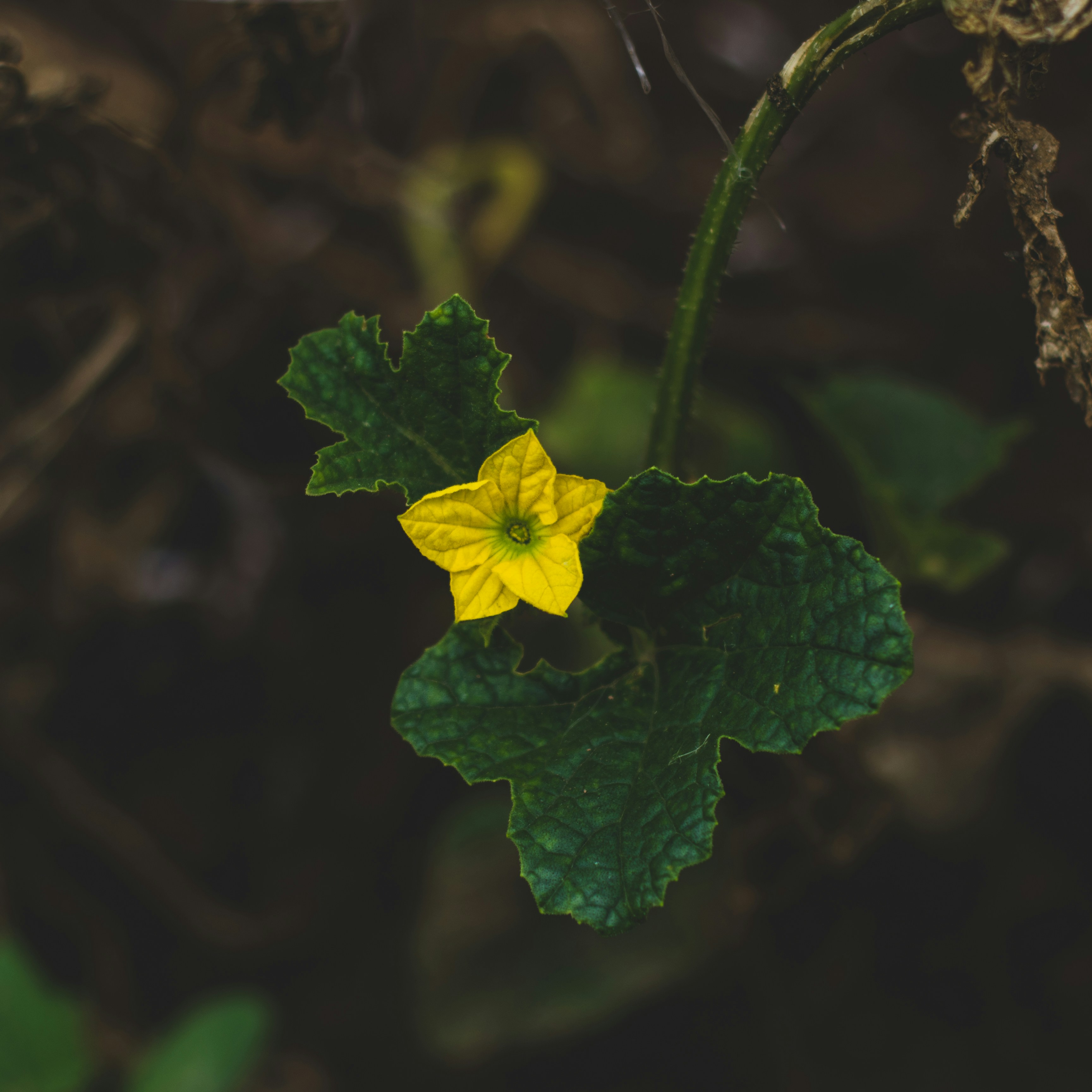 Photo by donald_tr4n