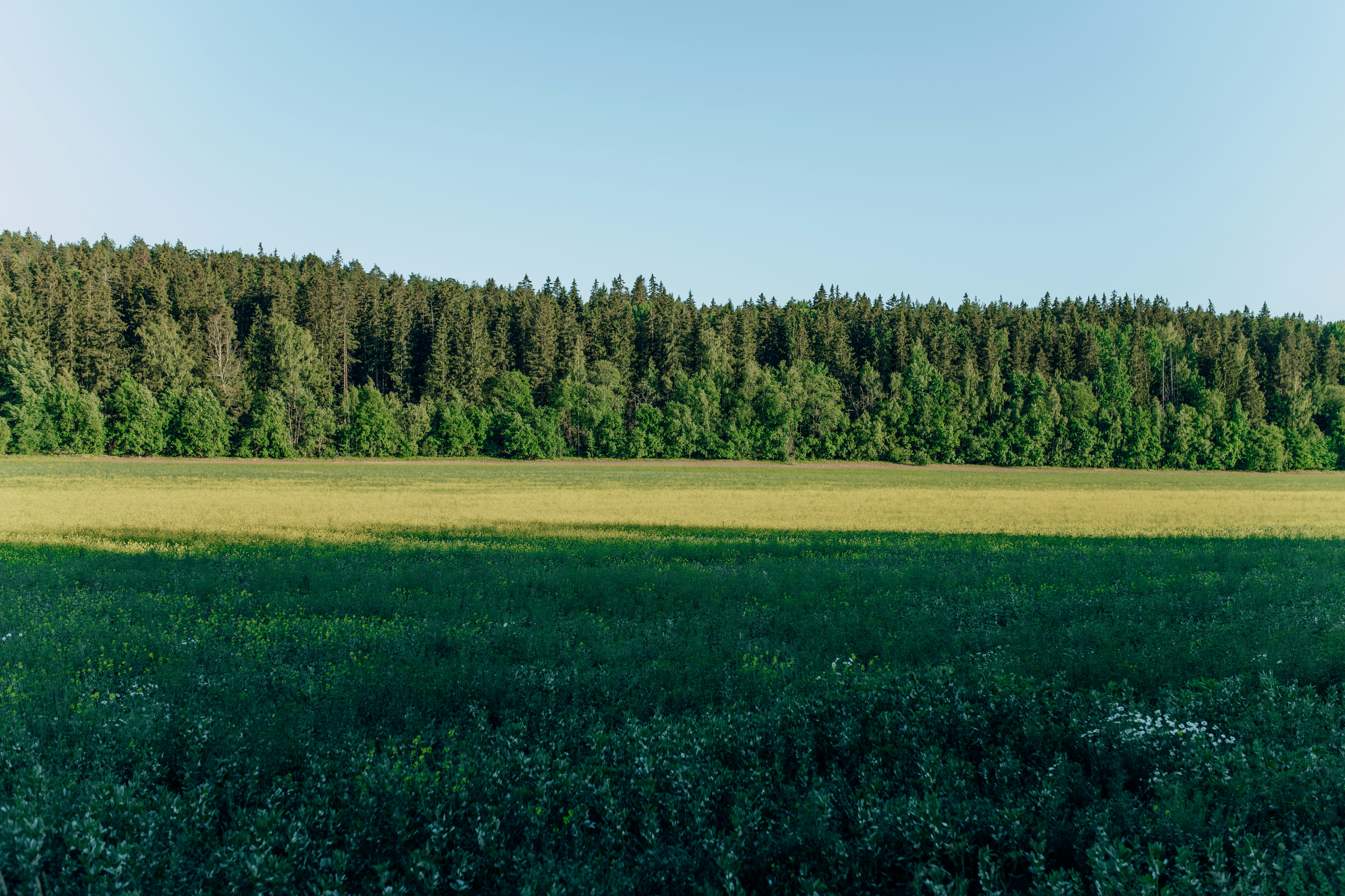 Photo by alinashchurova