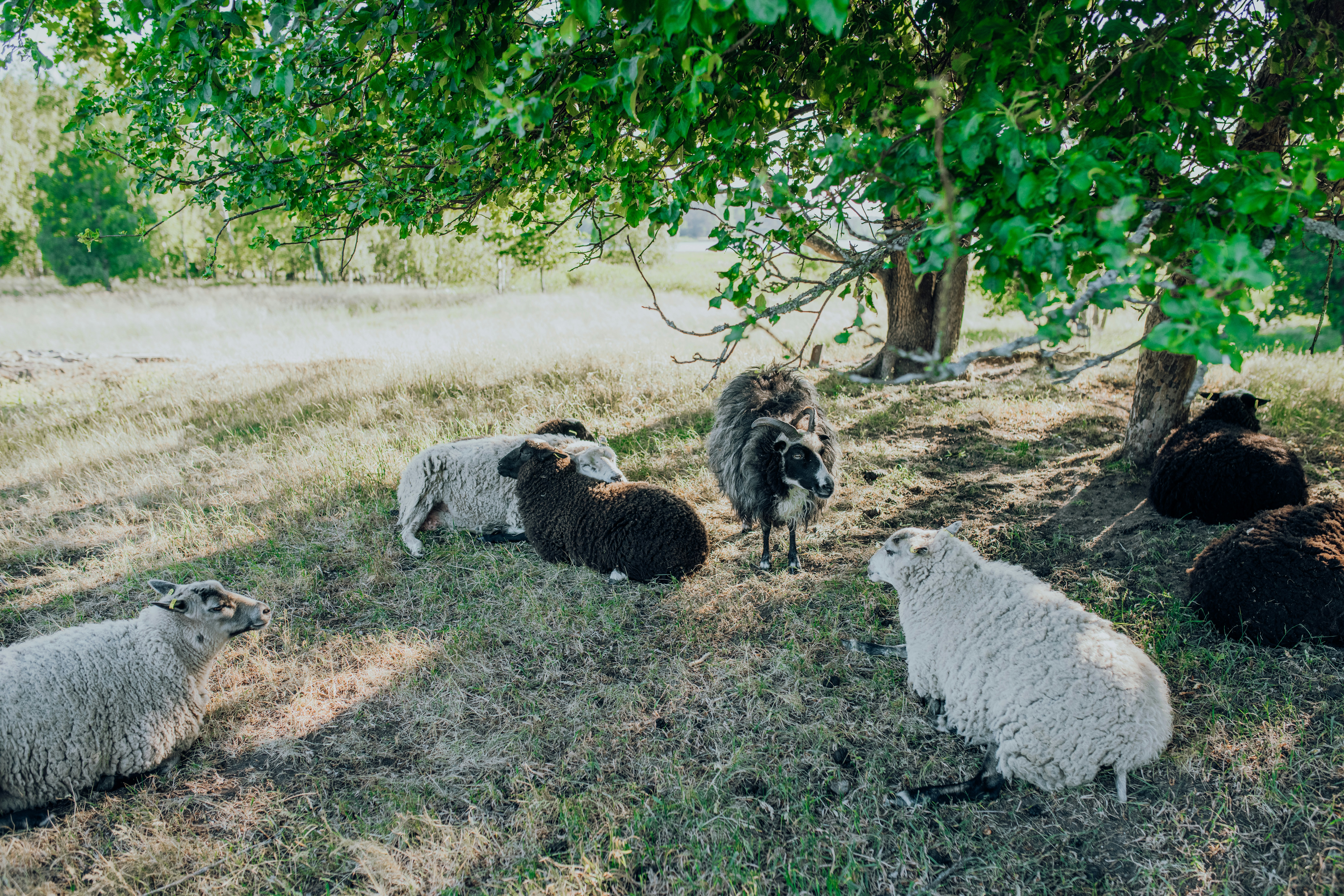 Photo by alinashchurova