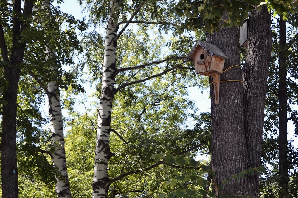 brown wooden birdhouse on tree trunk