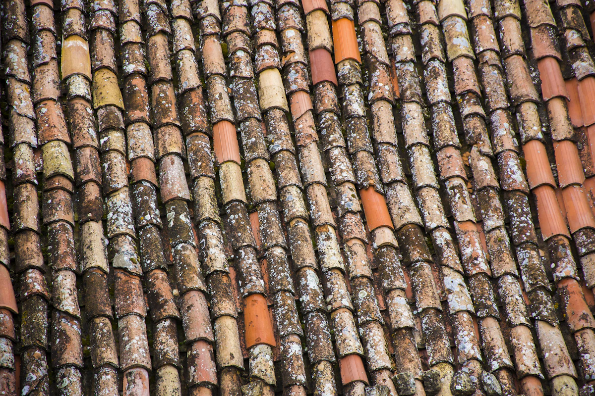 Old roof with worn shingles needing repair