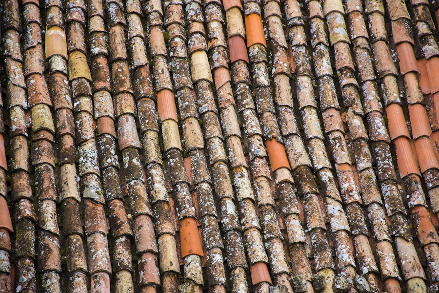 Storm damaged roof needing repair