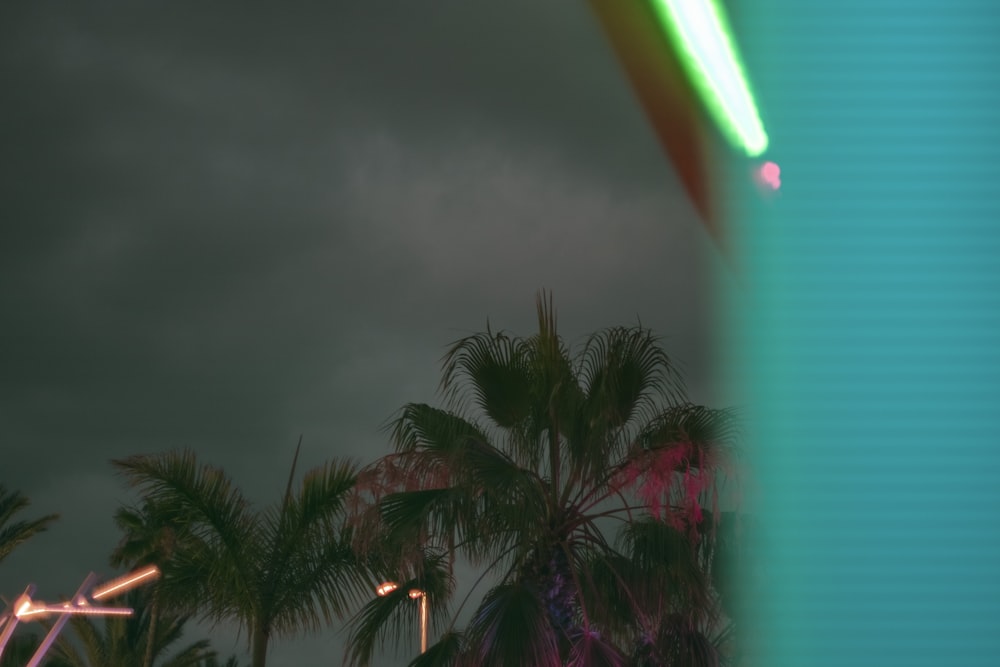 a palm tree with a neon light in the background