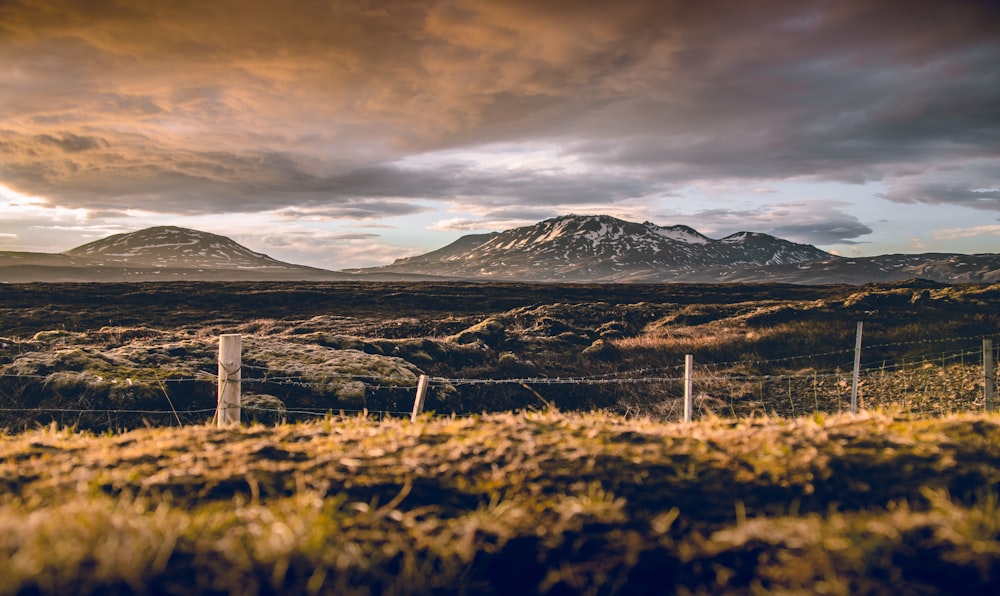 barbwire fences facing mountains