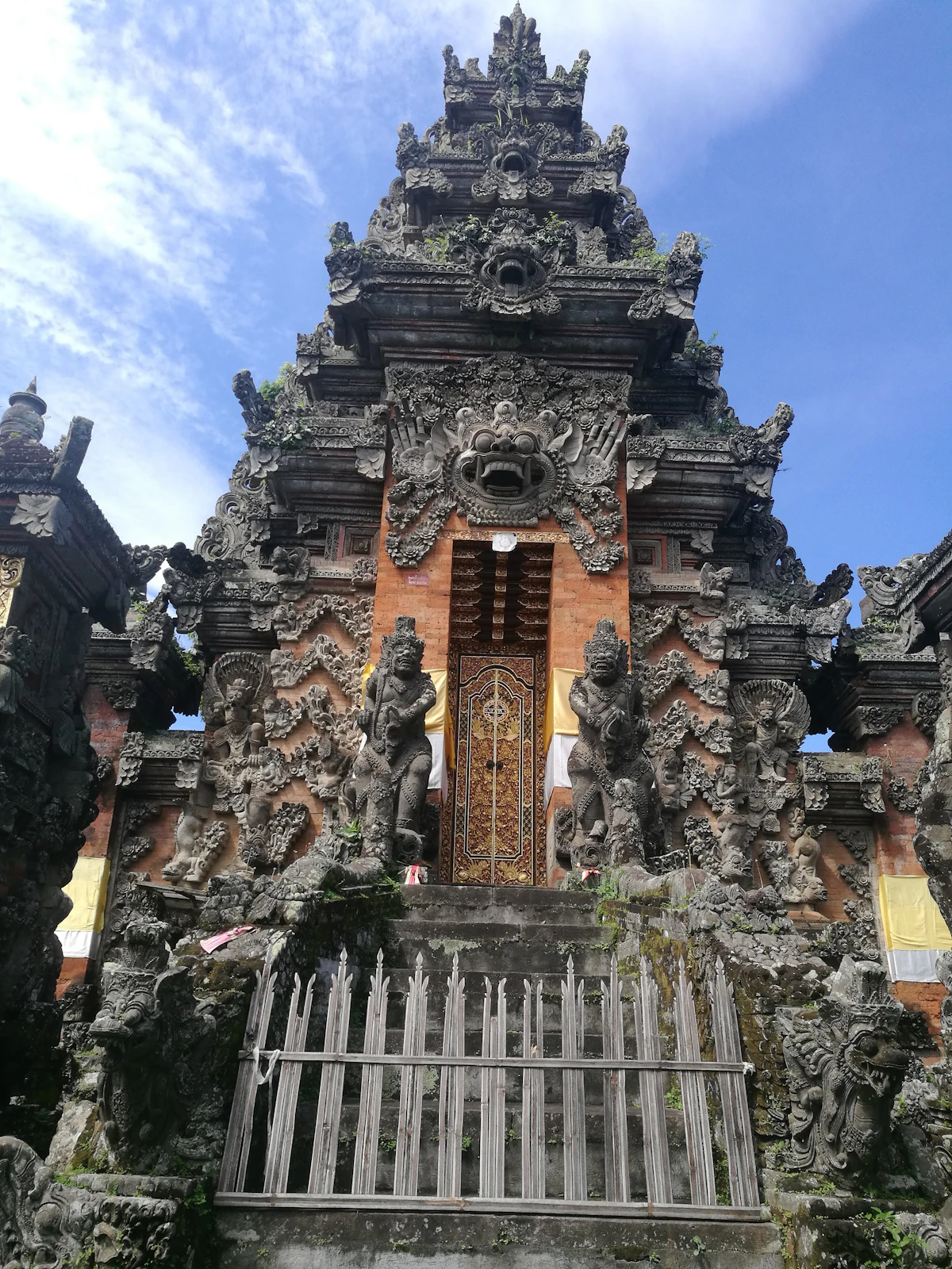 Vertical coral walls and rich marine biodiversity in Bunaken National Park