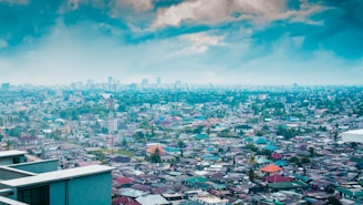 aerial photography of houses