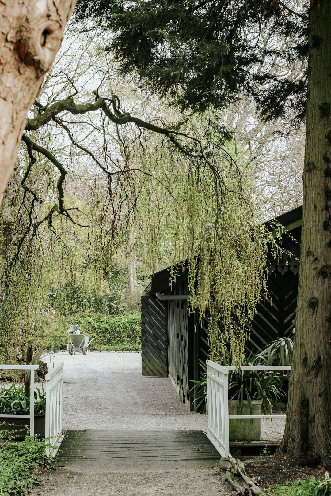 white and black bridge near house during daytime